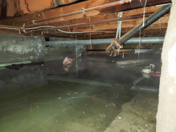 Best Residential water damage restoration  in Friedens, PA