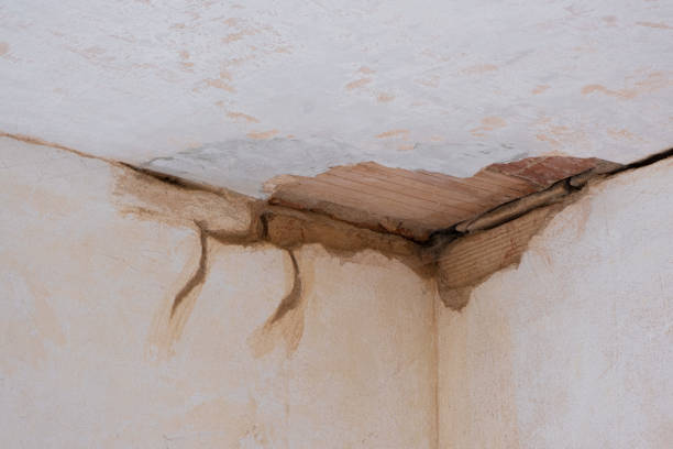 Best Professional water damage repair  in Friedens, PA